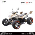 250cc Street Legal CEE Racing Quad ATV com 12inch / 14inch Alloy Wheel Refrigerado a Água